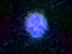 Alnair - Star in Gruis