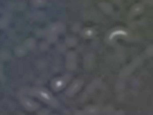 Black Whole in top right hand corner